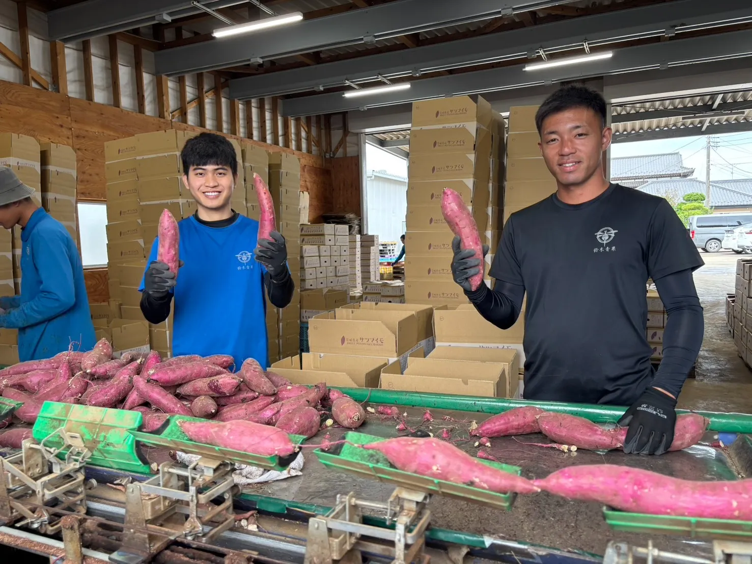 出荷作業🚚